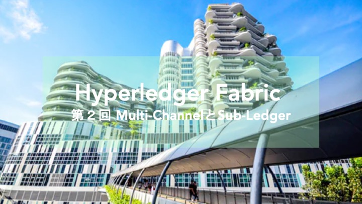 Hyperledger Fabric v1.0で いったい何が変わったのか？ 第2回　Multi-ChannelとSub-Ledger