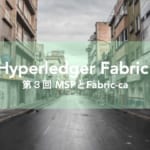 Hyperledger Fabric v1.0で いったい何が変わったのか？ 第3回　MSPとFabric-ca